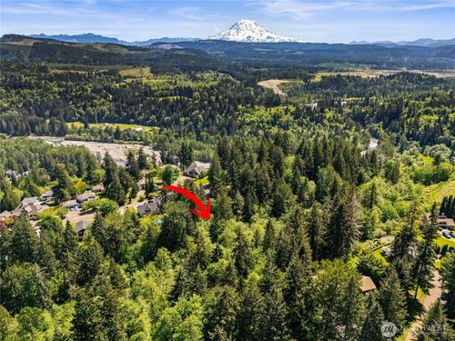 16217 232nd Street Ct E, Graham, WA, 98338-6583 | Card Image
