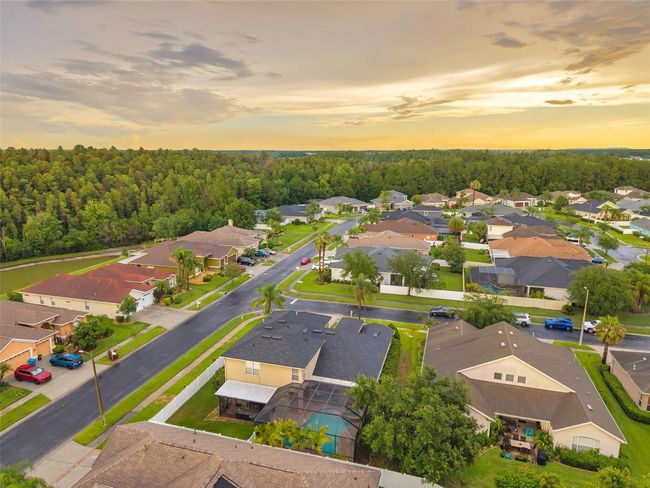 31646 Baymont Loop, House other with 5 bedrooms, 4 bathrooms and null parking in WESLEY CHAPEL FL | Image 79