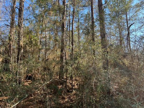 lot 197 Woodland Dr, Lumberton, MS, 39455 | Card Image