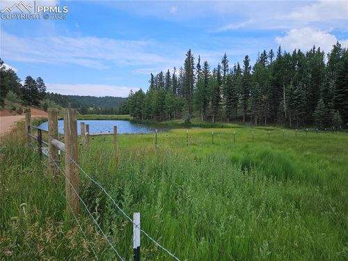 702 Lake Dr W, Divide, CO, 80814 | Card Image