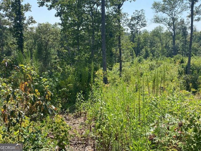 0 Woodstone Trail, Home with 0 bedrooms, 0 bathrooms and null parking in Ellijay GA | Image 12