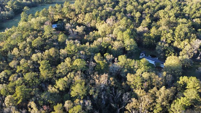 23540 Heritage Acres Ln, Home with 0 bedrooms, 0 bathrooms and null parking in Robert LA | Image 11