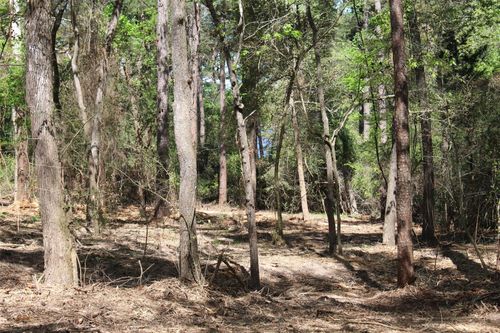 145 Crossed Arrow, Grapeland, TX, 75844-8253 | Card Image