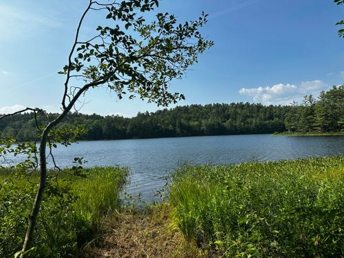 5 State Route 46 Route, Bucksport, ME, 04416 | Card Image