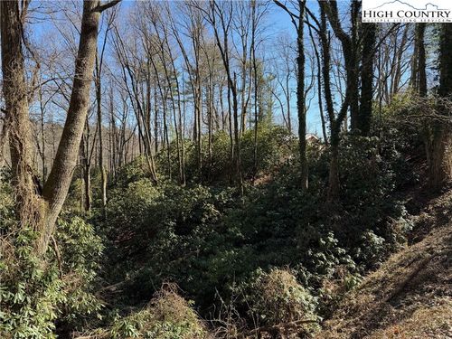 TBD Wonderland Trl, Blowing Rock, NC, 28605 | Card Image