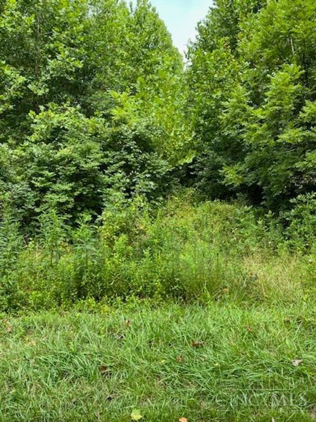 444 Felicity Cedron Rural Rd, Home with 3 bedrooms, 1 bathrooms and null parking in Georgetown OH | Image 4