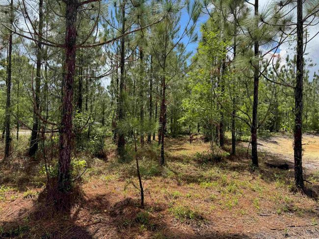1698 Carriage Dr, Home with 0 bedrooms, 0 bathrooms and null parking in Loris SC | Image 12