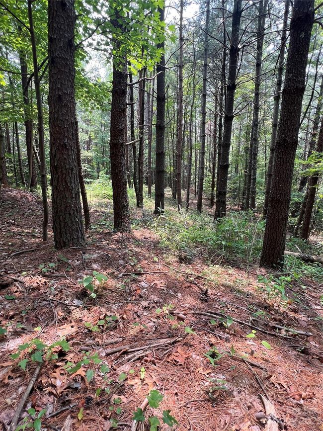 29 - 9589 Shortoff View Ter, Home with 0 bedrooms, 0 bathrooms and null parking in Nebo NC | Image 8