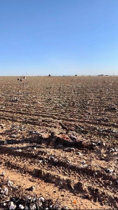 6437 & 6441 Cotton Country Road, Ropesville, TX, 79358 | Card Image