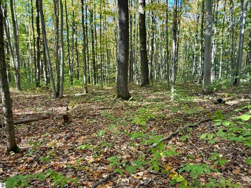 000 Bear Lane, Kalkaska, MI, 49646 | Card Image