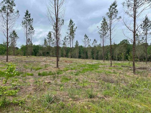 0 Grant 433, Sheridan, AR, 72150 | Card Image