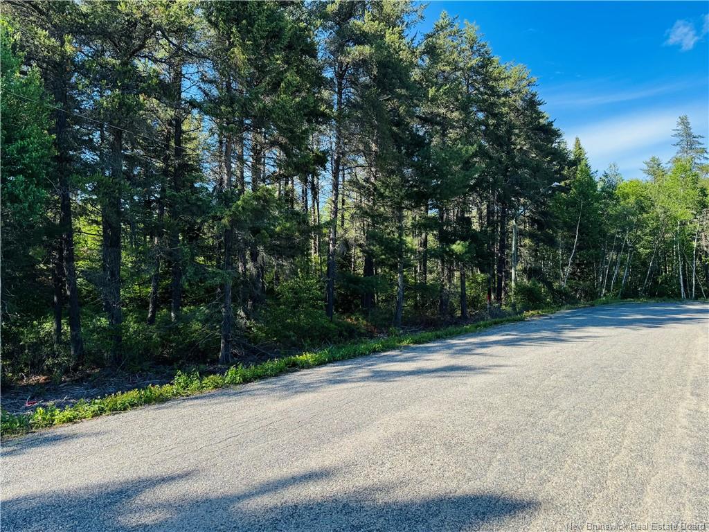 Land in Miramichi 3