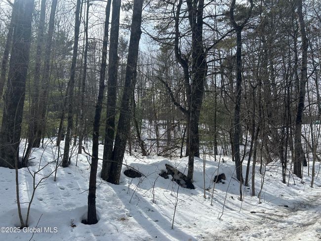 11 Hogback Rd, Home with 0 bedrooms, 0 bathrooms and null parking in Crown Point NY | Image 4