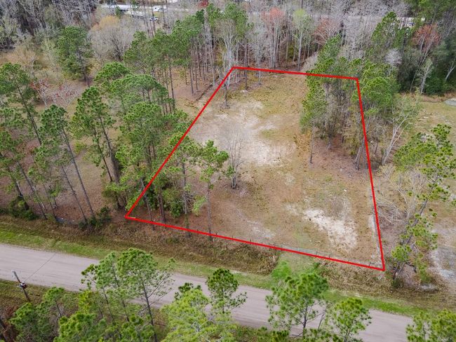 1718 Papaya St, Home with 0 bedrooms, 0 bathrooms and null parking in BUNNELL FL | Image 12