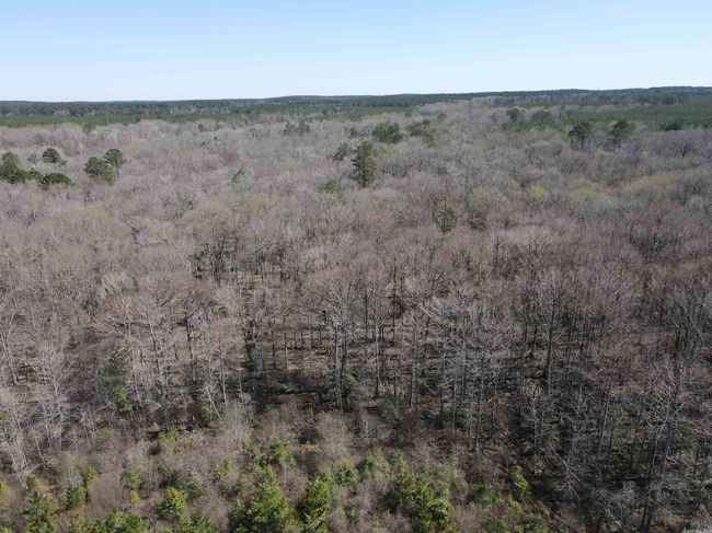 00 Highway 278 Highway, Home with 0 bedrooms, 0 bathrooms and null parking in Rosston AR | Image 12