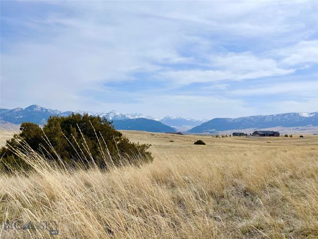 A few large juniper bushes on the property providing cover for wildlife | Image 15
