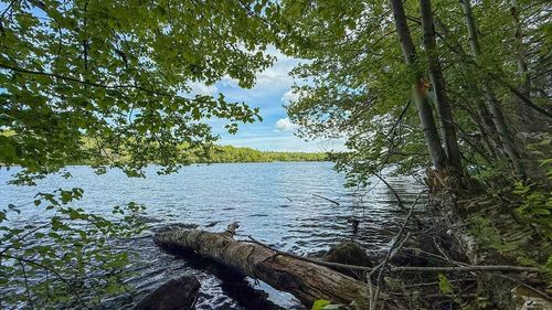18 Osceola Dr, Becket, MA, 01223 | Card Image