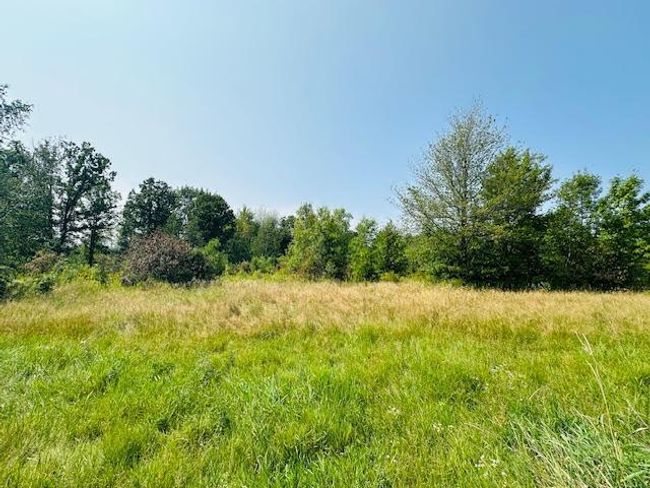 Backyard | Image 5