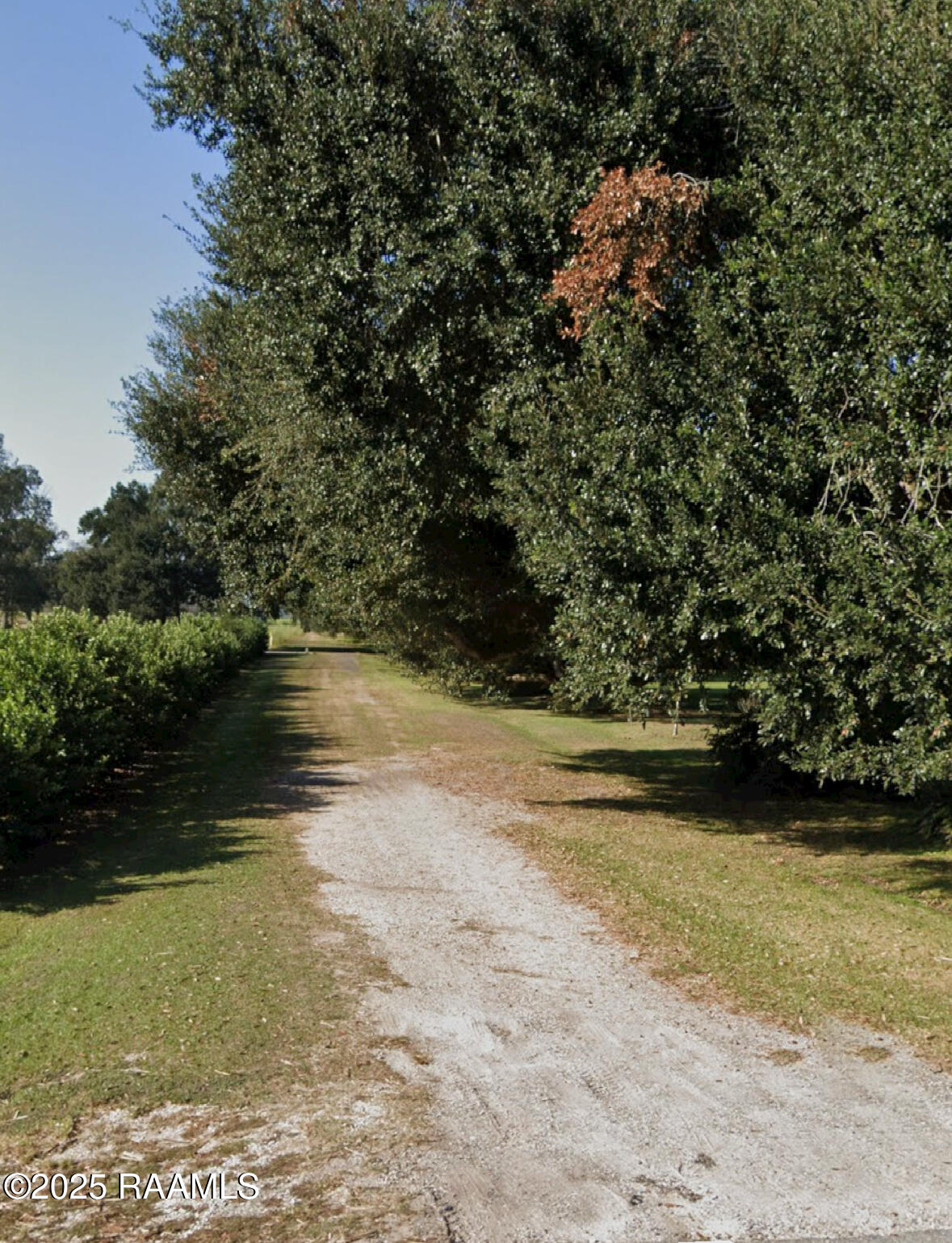 Land in Breaux Bridge 5