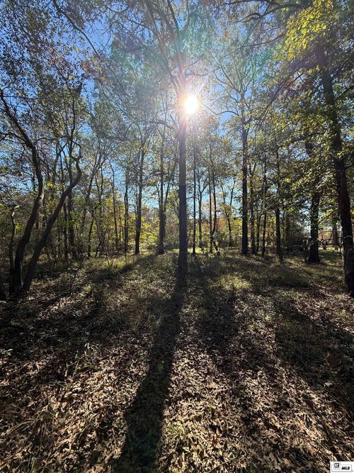 0 lot 3 Platts Lndg, Bernice, LA, 71222 | Card Image