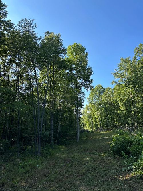 911 Parkstown Ext, Wilder, TN, 38589-5068 | Card Image