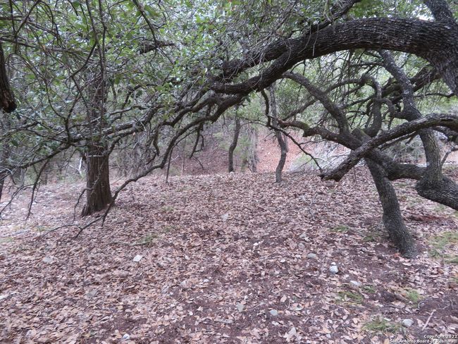 LOT 304-306 Deer Trl, Home with 0 bedrooms, 0 bathrooms and null parking in Pipe Creek TX | Image 6