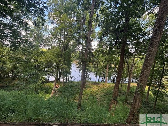 views from the entire lot to the savannah River | Image 6