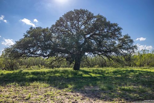 444 County Road 748, Yancey, TX, 78886 | Card Image