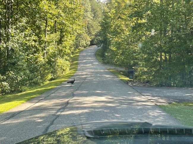 76 Tally Cove Rd, Home with 0 bedrooms, 0 bathrooms and null parking in Jasper GA | Image 30
