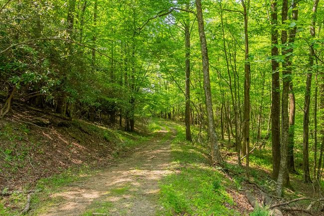 688 Gibson Knob Rd, Home with 0 bedrooms, 0 bathrooms and null parking in Laurel Fork VA | Image 75