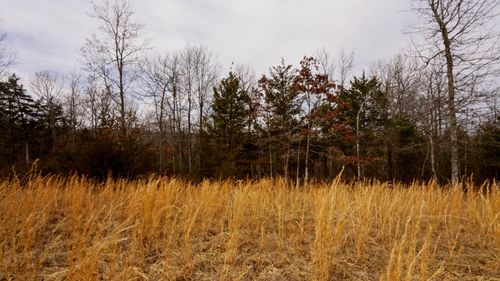 Lot 21 Oakridge Dr, Gepp, AR, 72538 | Card Image