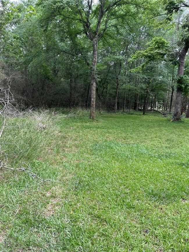 15930 Stagecoach Rd, House other with 3 bedrooms, 2 bathrooms and null parking in Stagecoach TX | Image 13