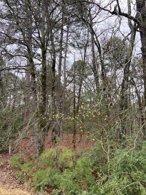 2529 County Road 3540, Hawkins, TX, 75765-4978 | Card Image