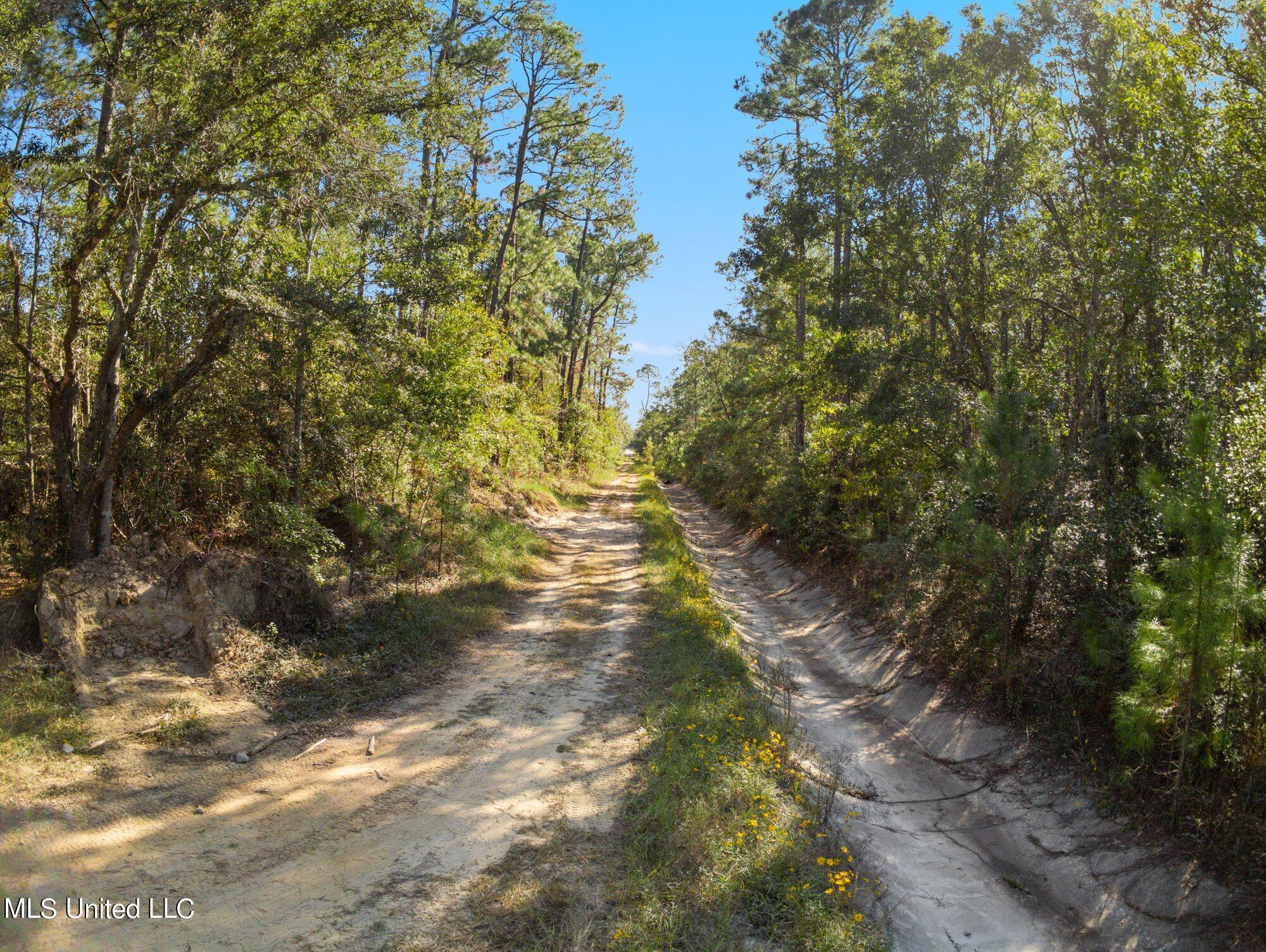 Land in Waveland 2