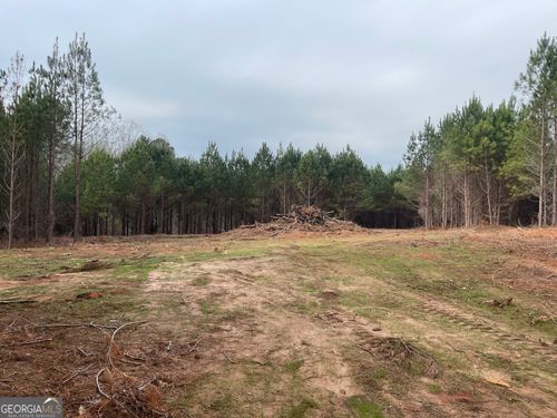 0 Mary Johnson Dr, Franklin, GA, 30217 | Card Image