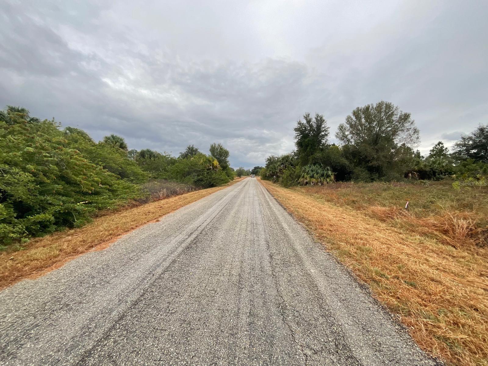 Land in LEHIGH ACRES 4