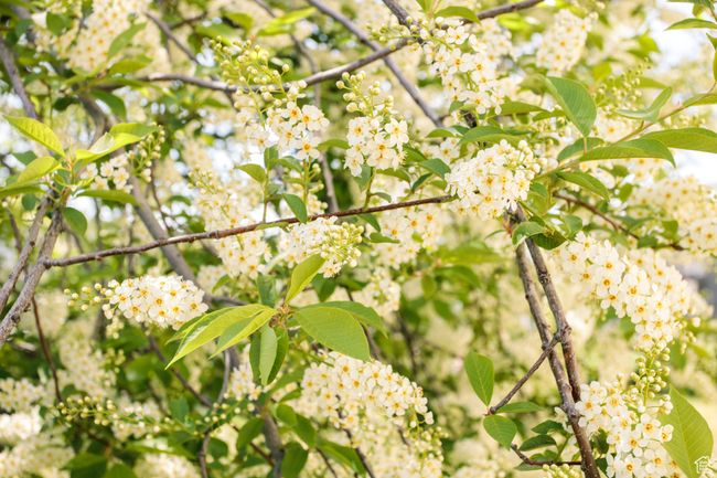 Spring is here! A great time to buy a house | Image 38
