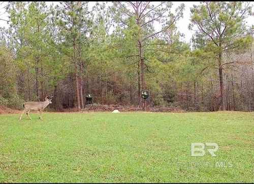 58979 Jack Springs Rd, Perdido, AL, 36562 | Card Image
