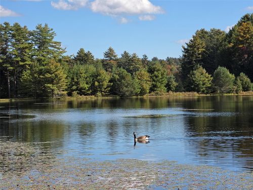 Lot 11 Deer Meadow Road, Bethel, NY, 12786 | Card Image