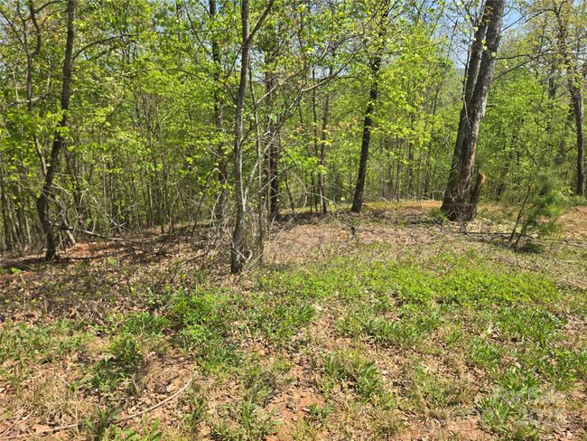 Lot 23 High Rock Rdg, Home with 0 bedrooms, 0 bathrooms and null parking in Lake Lure NC | Image 4