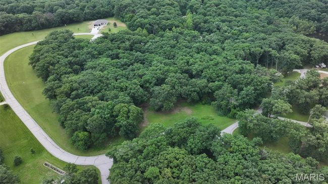 Bird's eye view of a forest | Image 26