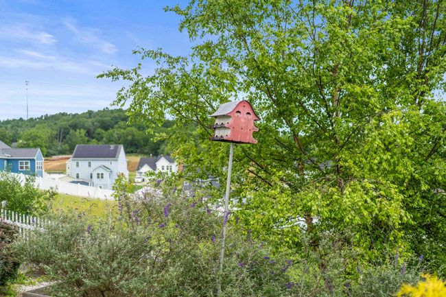 21 Upland Ct, House other with 3 bedrooms, 2 bathrooms and null parking in STUARTS DRAFT VA | Image 38