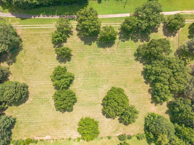 1130 Coan Dr, Home with 3 bedrooms, 2 bathrooms and null parking in Locust Grove GA | Image 63