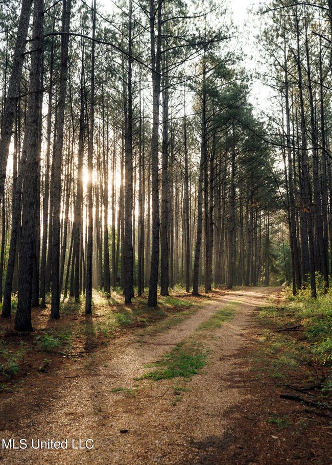 JG Puckett Cabin Pics-2 | Image 12