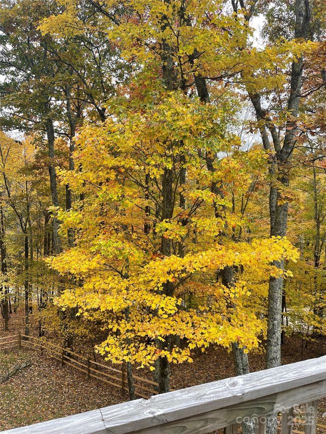 48 Grouse Thicket Rd, House other with 3 bedrooms, 3 bathrooms and null parking in Mars Hill NC | Image 35