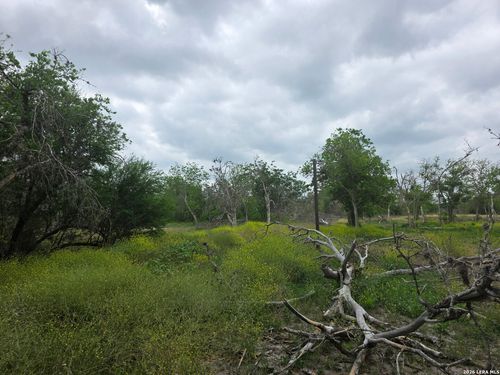 2328 E Chavaneaux, San Antonio, TX, 78214 | Card Image