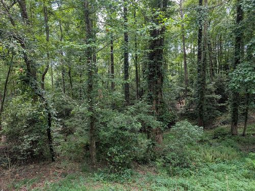 Lot 194 Shenendoa Dr, Ellijay, GA, 30540-1354 | Card Image