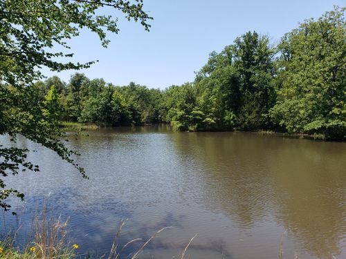 3652 E Cheadle Rd, Tishomingo, OK, 73460 | Card Image