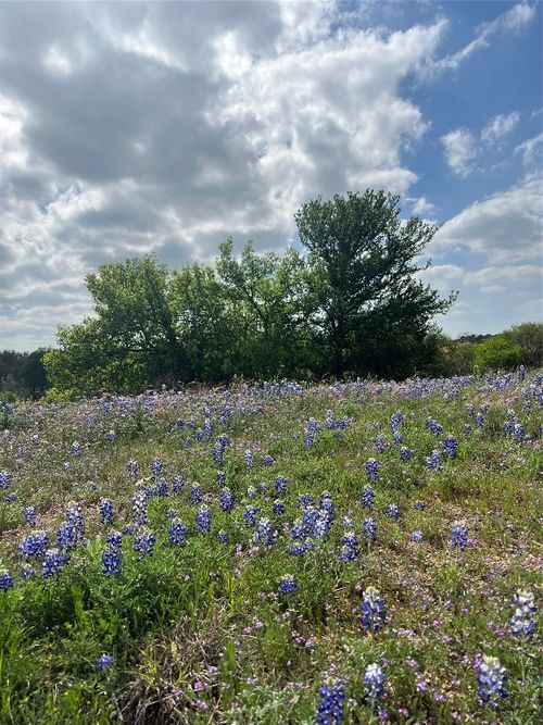 60 La Serena Loop, Horseshoe Bay, TX, 78657 | Card Image