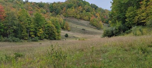 Lot A N Cross Over Dr, Bellaire, MI, 49615 | Card Image